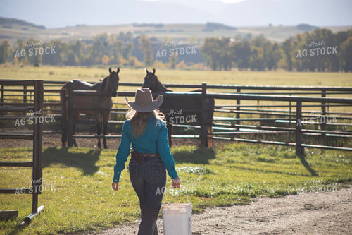 Female Rancher Feeding Horses 117091