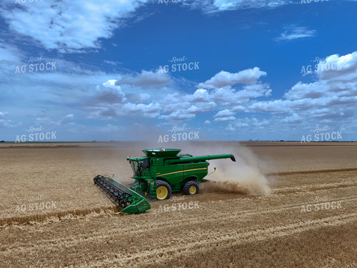 Wheat Harvest 239276