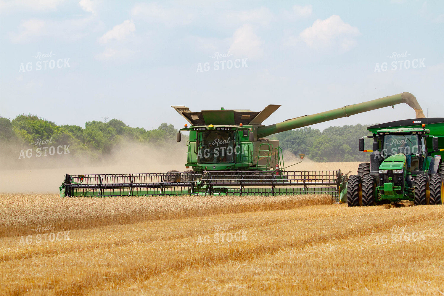 Auger Putting Wheat in Grain Cart 79071