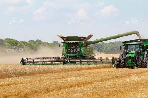 Auger Putting Wheat in Grain Cart 79071