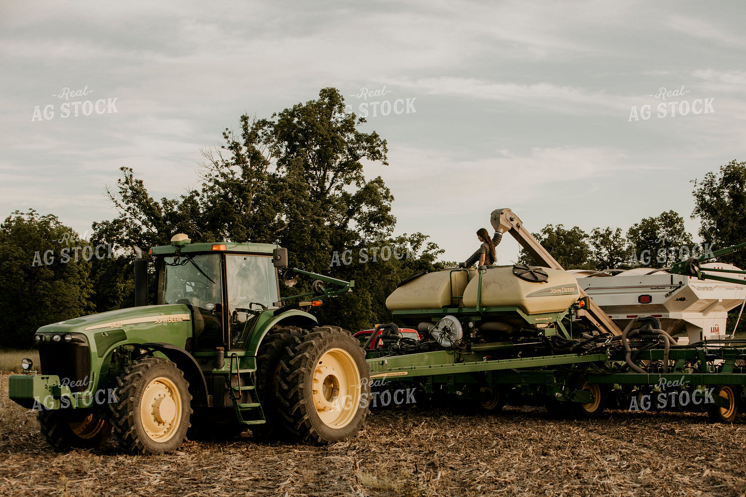 Planting 2806