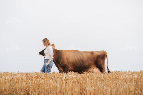Walking Show Cattle 116015