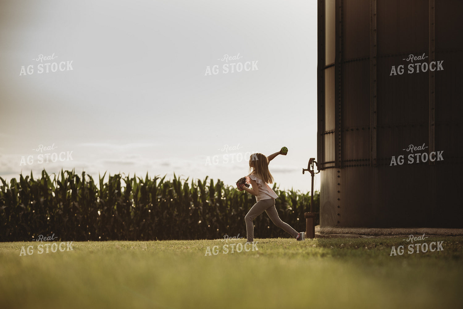 Farm Family Playing Catch Alongside Corn Field 4496
