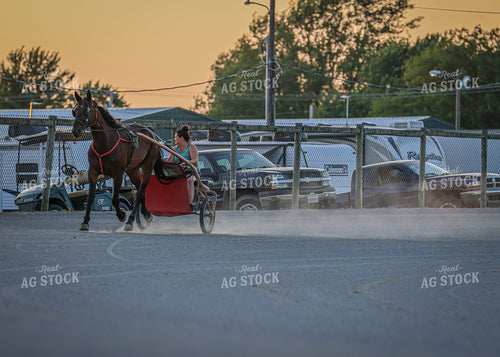 Horse Racing 160085