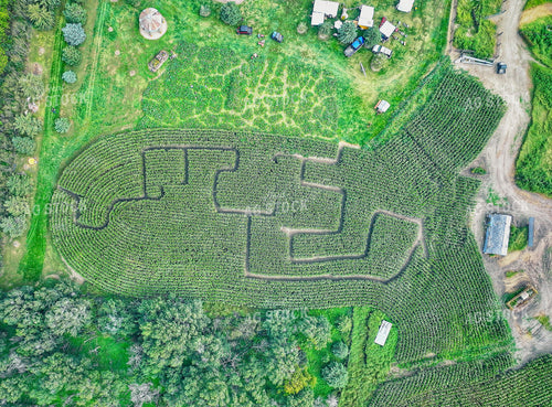 Aerial Overhead of Corn Maze 141410