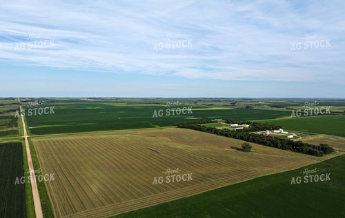 Aerial of Cut Hay Field 141323