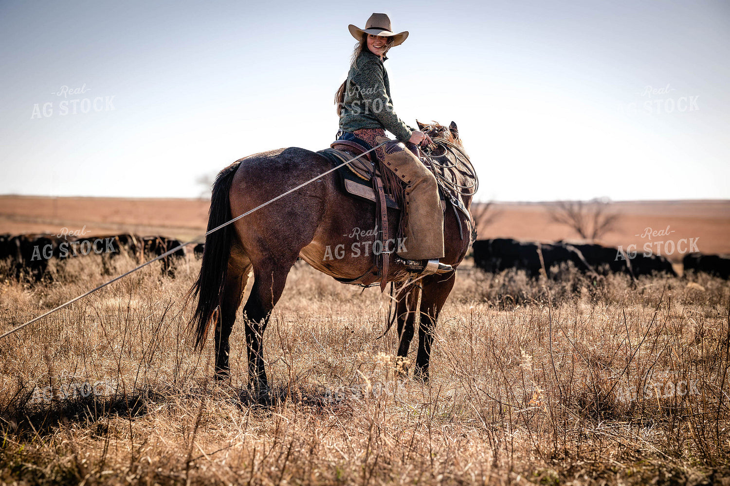 Cowgirl on Horseback 219177