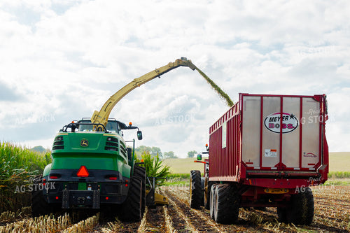 Corn Silage Harvest 272070