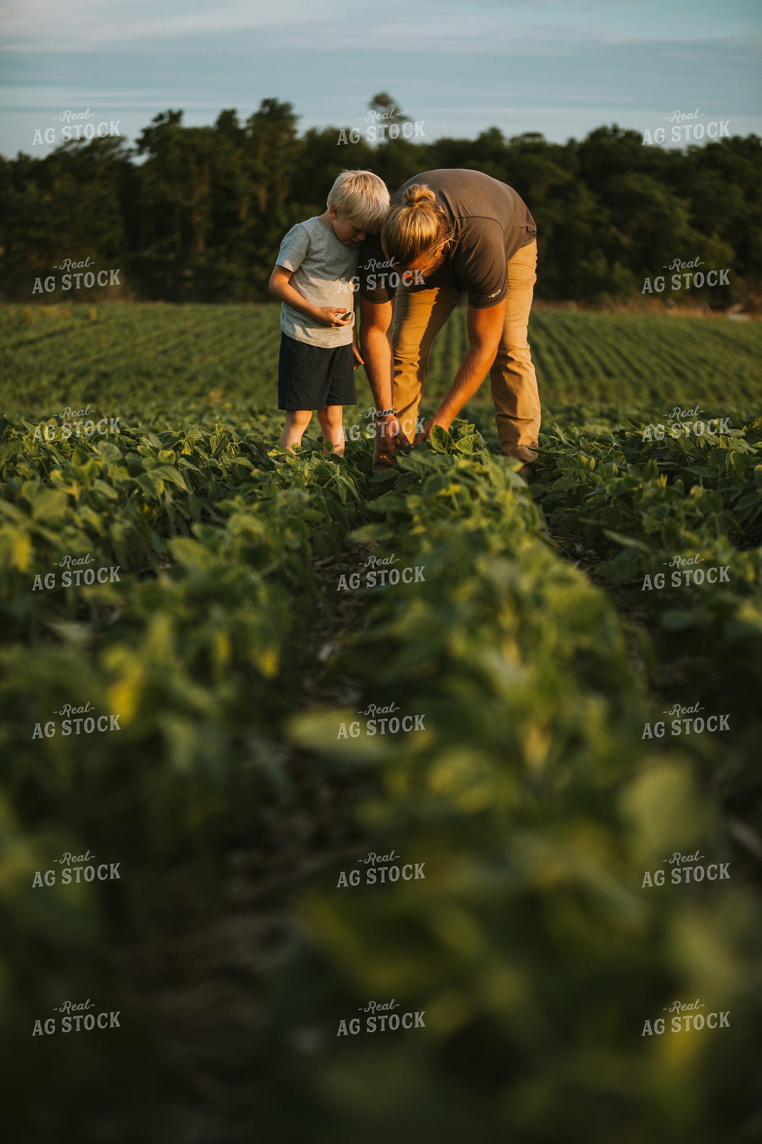 Farmer and Farm Kid in Soybean Field 6008