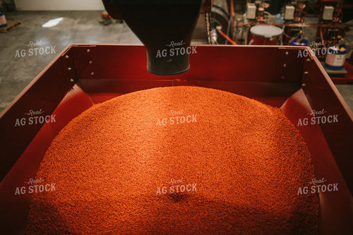 Treated Soybeans Coming out of Seed Treater 5285