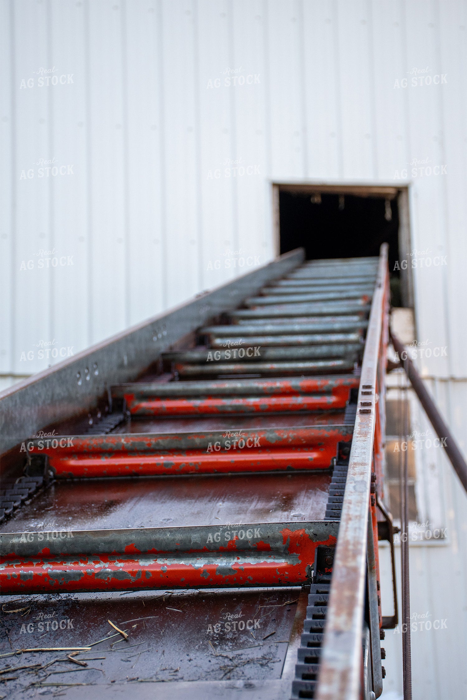 Hay Conveyor 50118