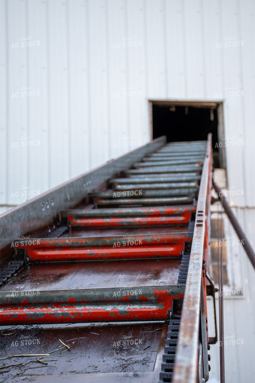 Hay Conveyor 50118