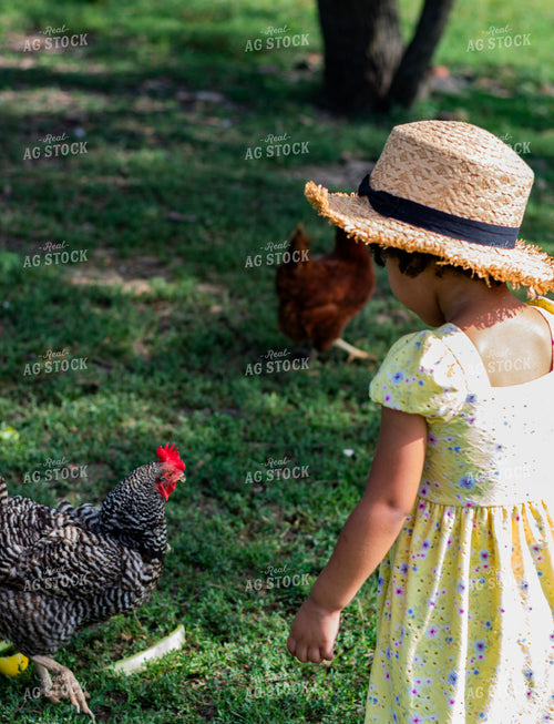 Farm Kid Feeding Chickens 283016