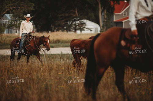 Ranchers and Cattle in Pasture 6454