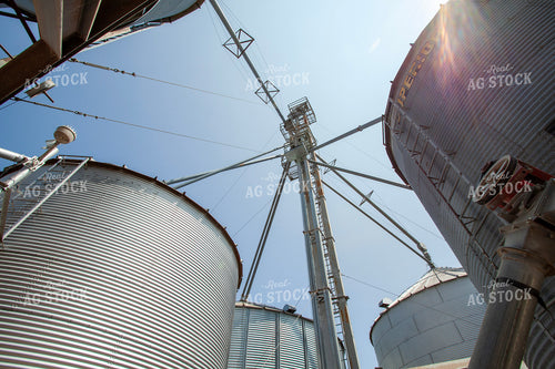 Grain Leg 132088