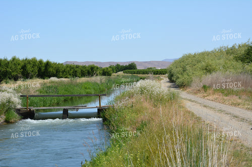 Road and Creek by Orchard 198004