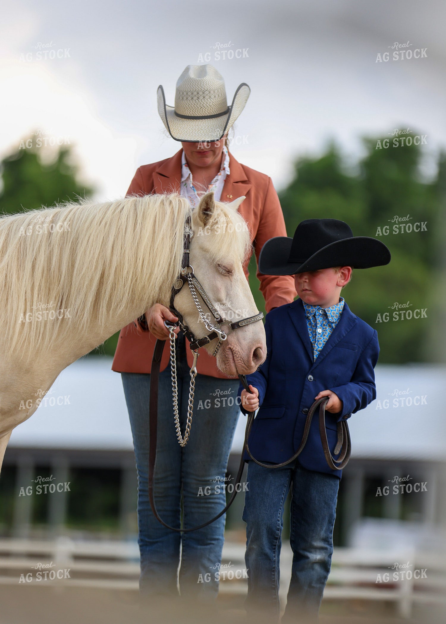 Equestrian With Horse 160076