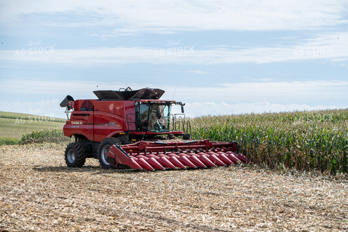 Corn Harvest 193111
