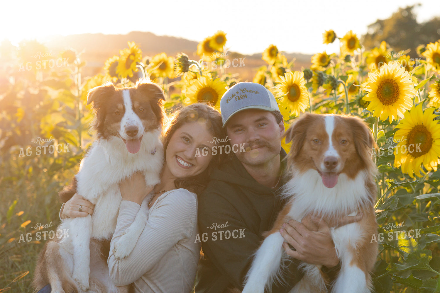 Farm Family with Sunflowers 52951