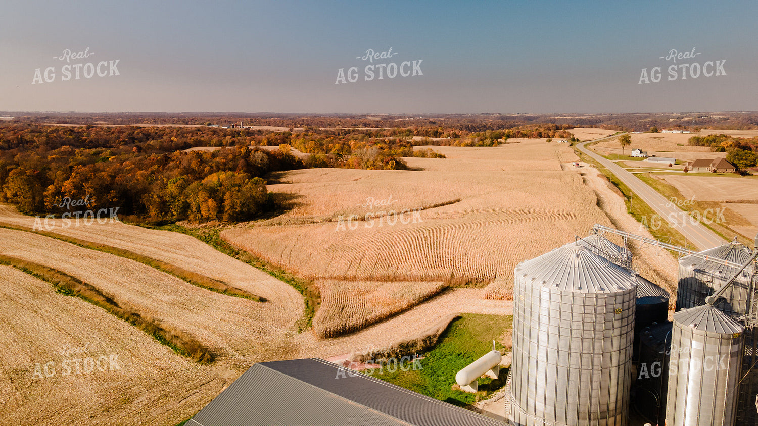 Rural Harvest Scene with On Farm Storage 9518