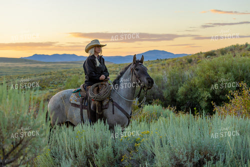 Cowgirl on Horseback 290043