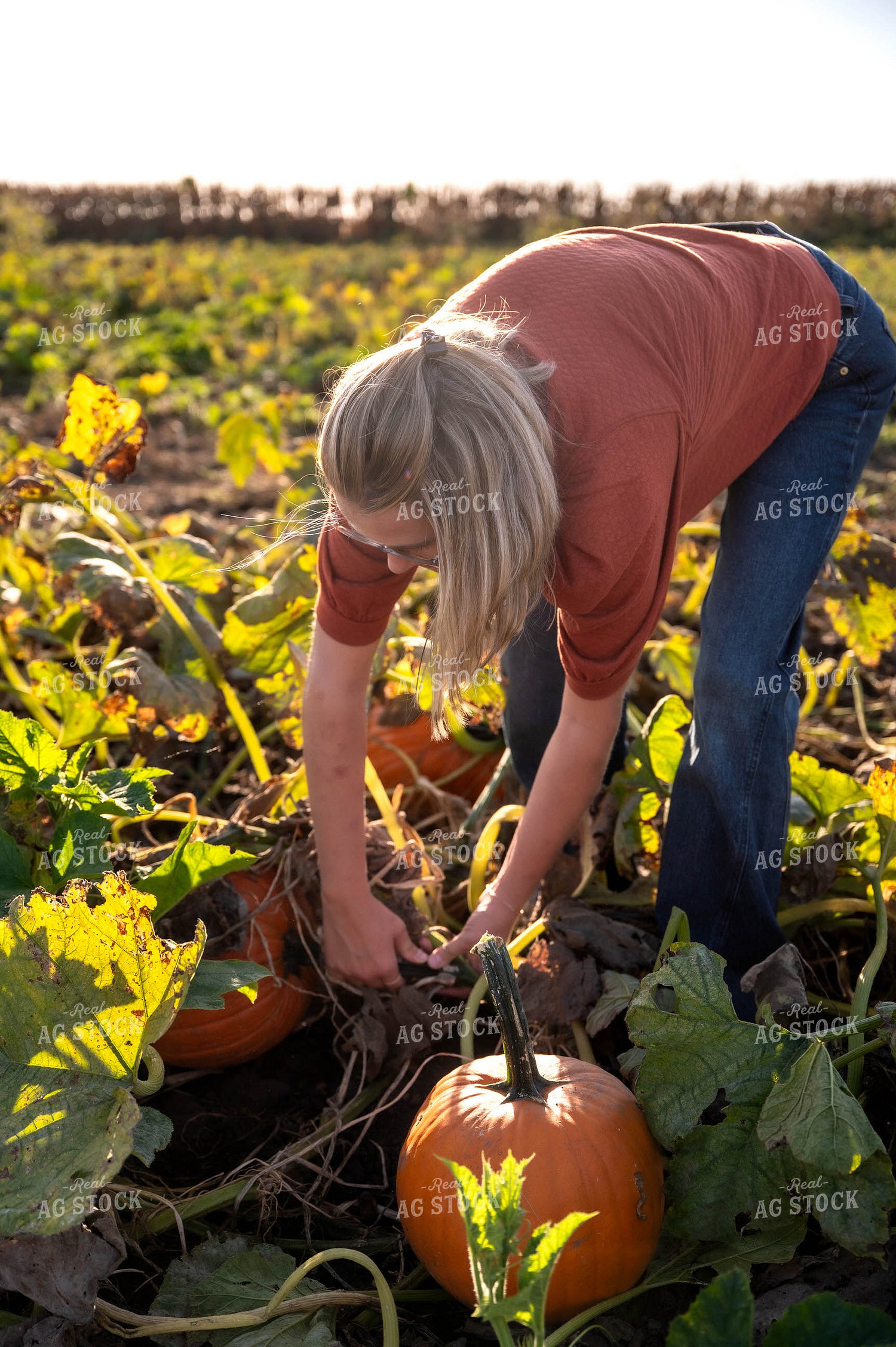 Farmer in Pumpkin Patch 115858
