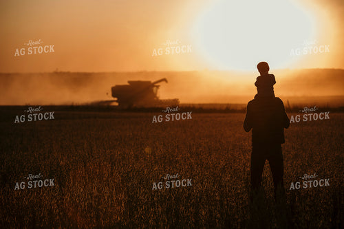 Harvest 2589