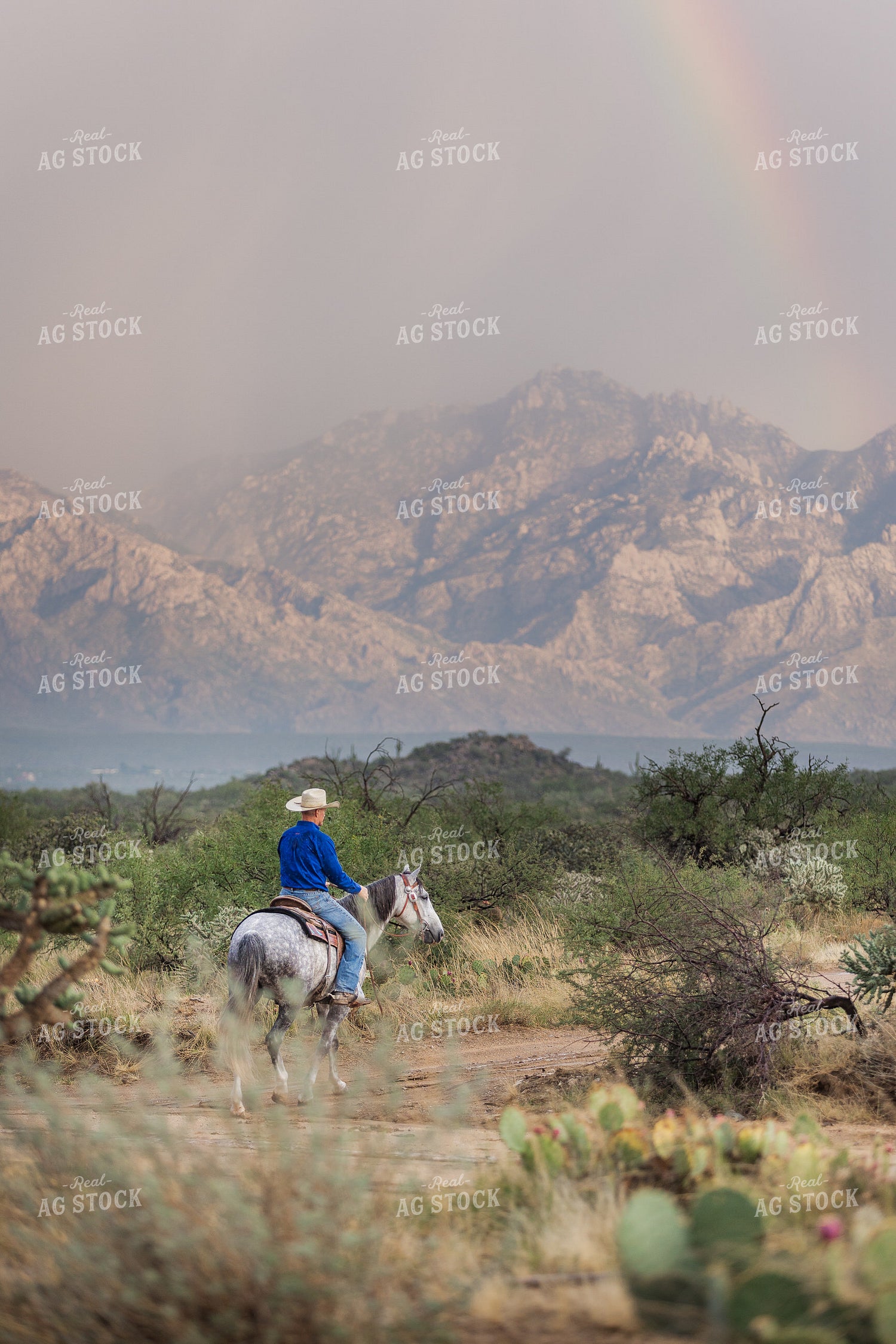 Rancher on Horseback 184054