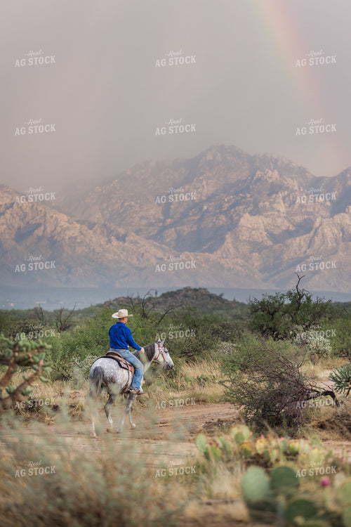 Rancher on Horseback 184054