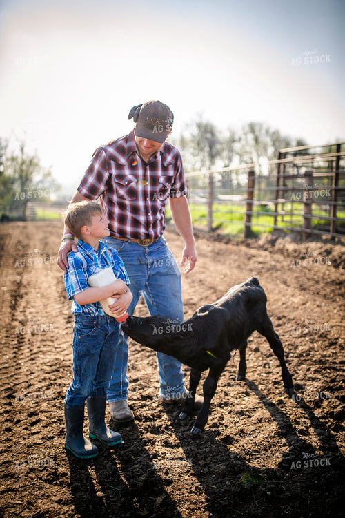 Rancher and Son Feeding Calf 285031