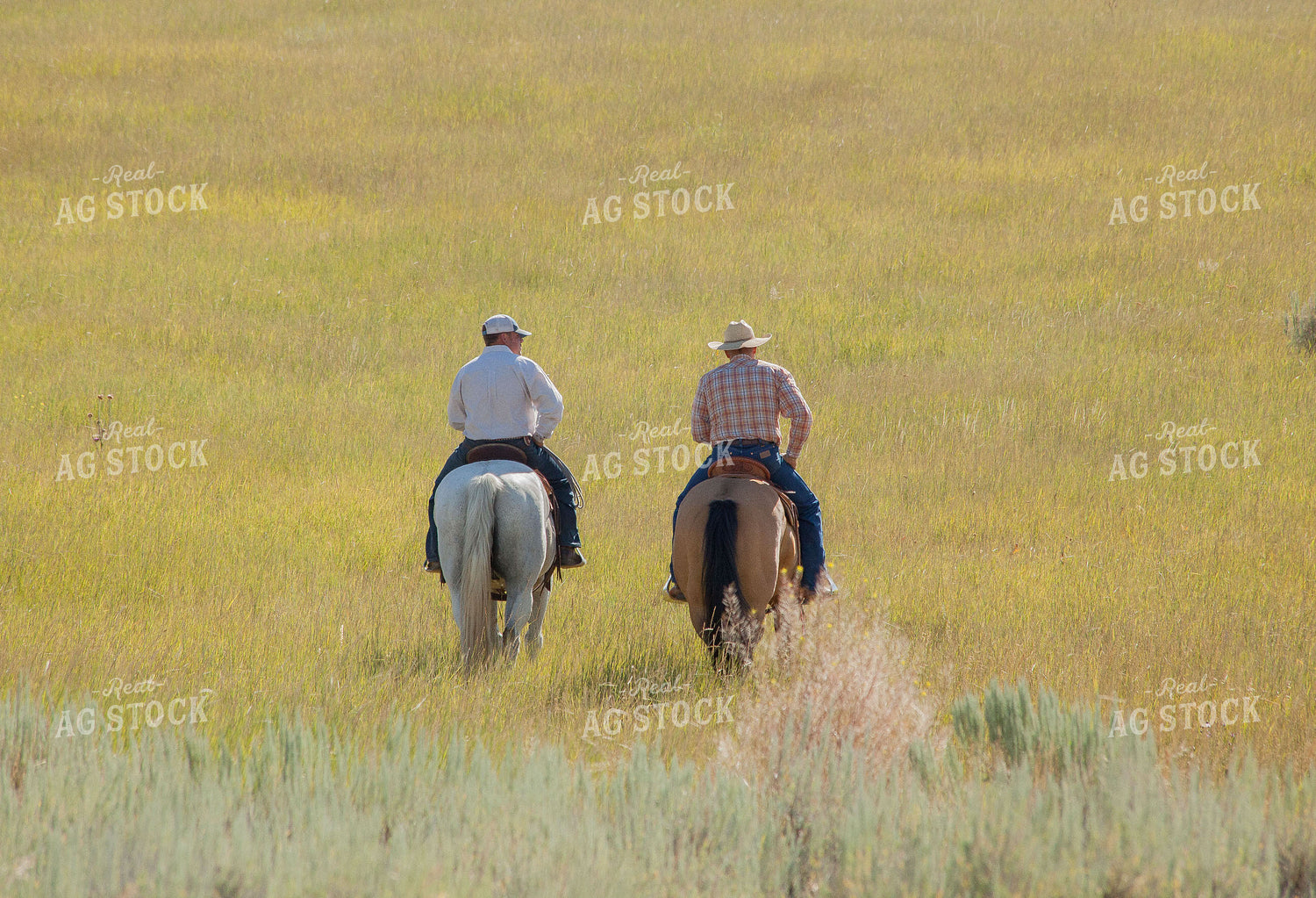 Ranchers on Horseback 81007