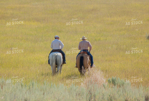 Ranchers on Horseback 81007