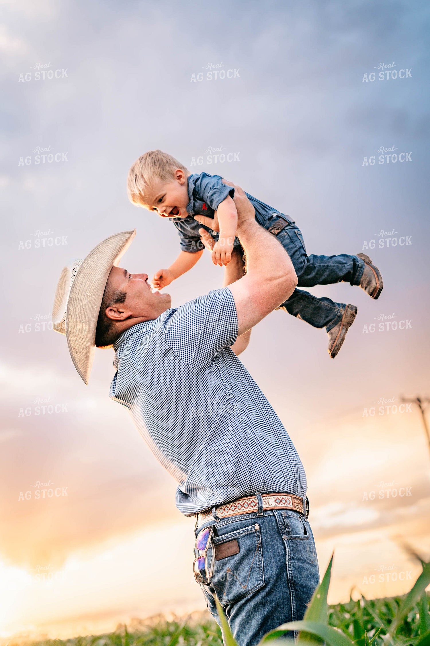 Rancher and Son in Cornfield 218046