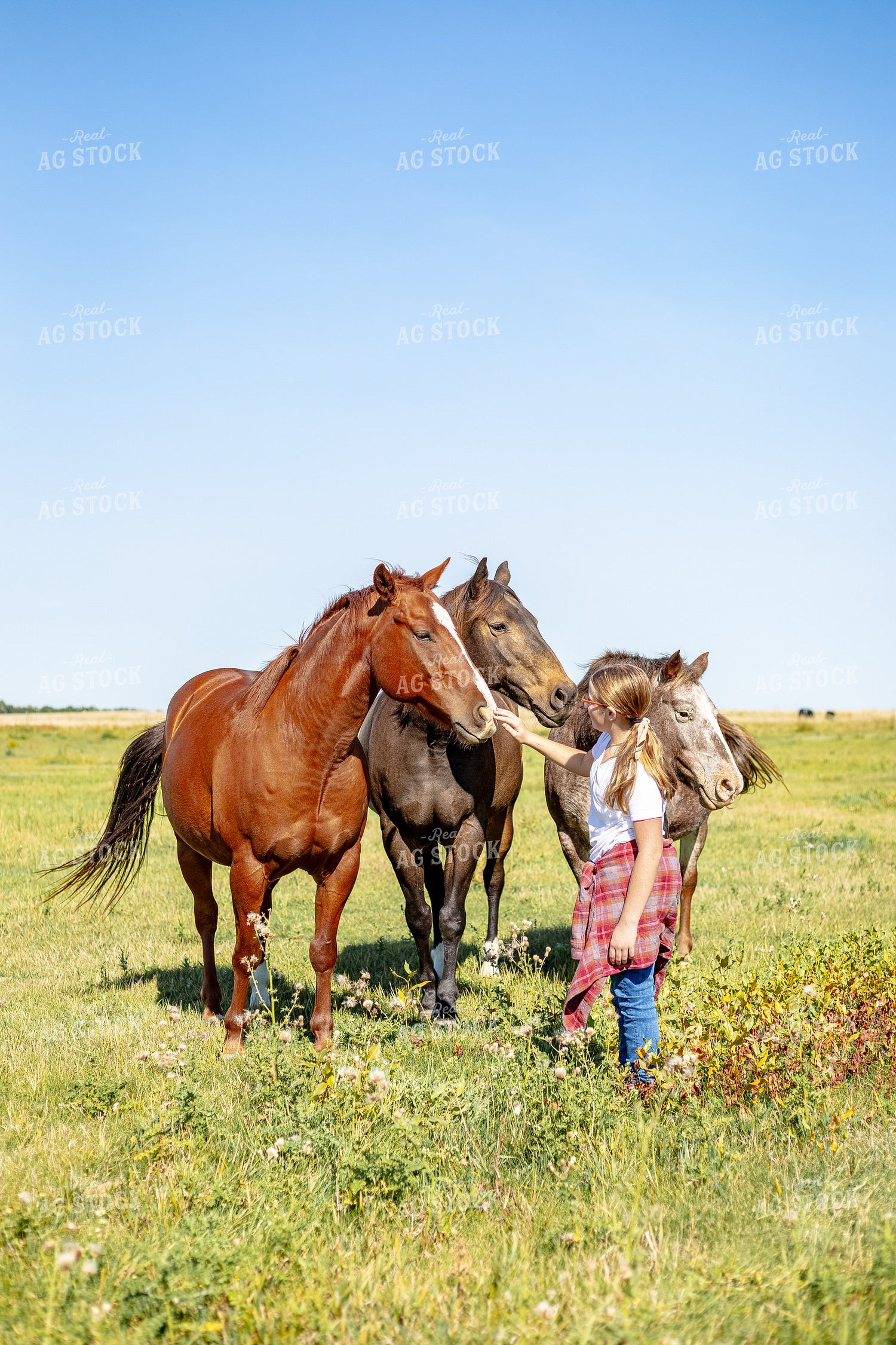 Farm Kid with Horses 155284