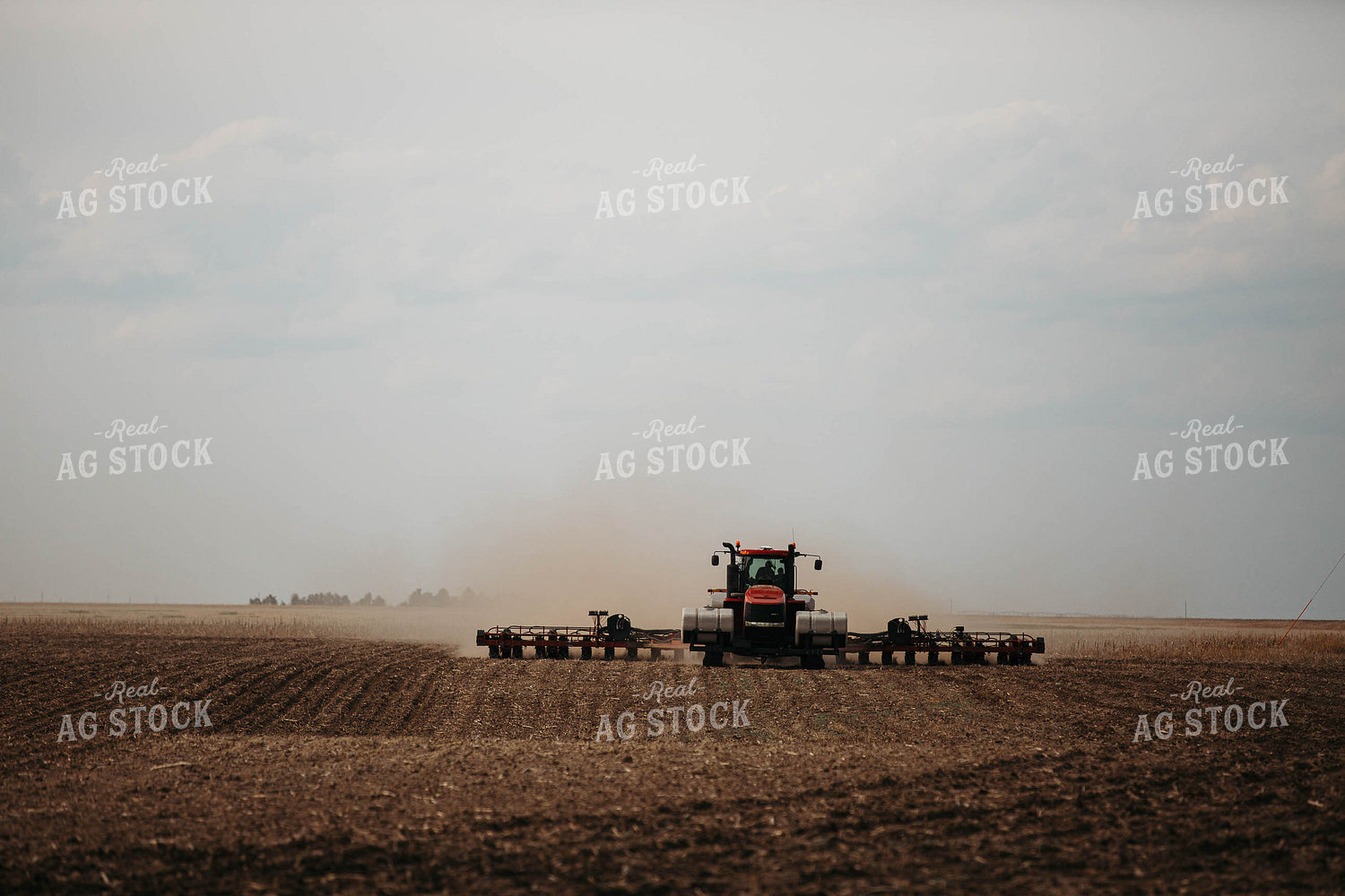 Planting 303033