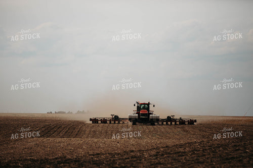 Planting 303033