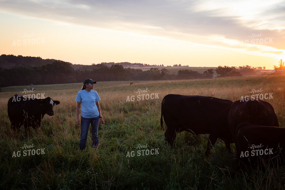 Cattle Producer Checking Cattle on Pasture 268367