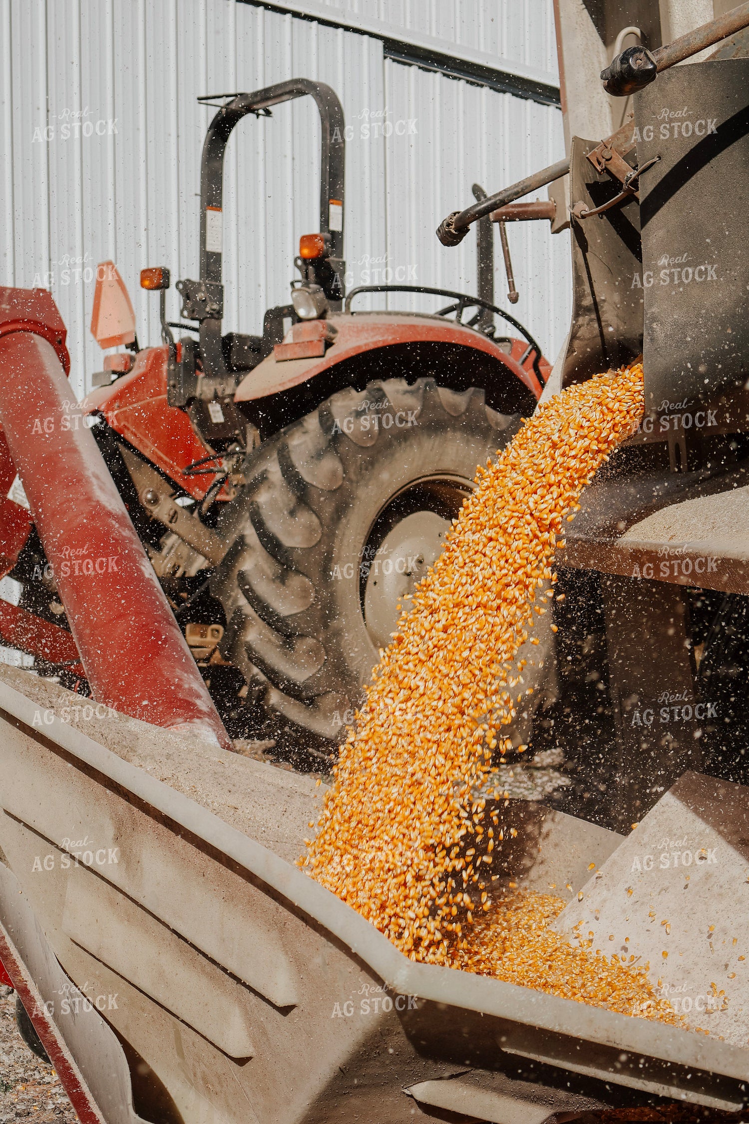 Filling Grain Bin 289011