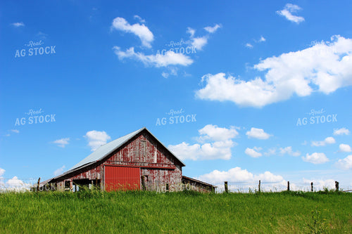 Red Barn 214047