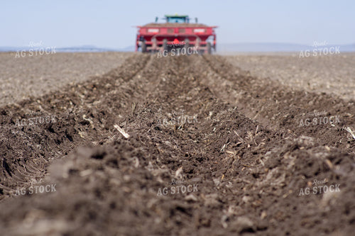 Planting Potatoes 146072