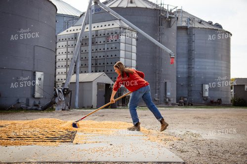 Female Farmer Sweeping Corn into Grain Pit 268104