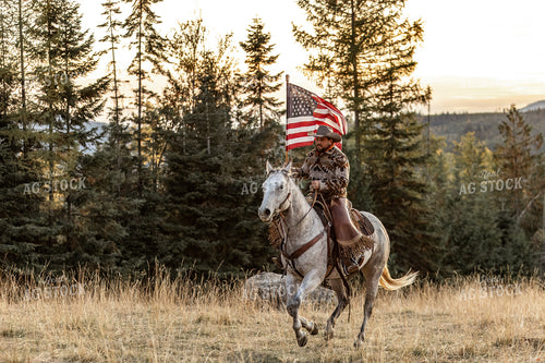 Cowboy on Horseback with American Flag 188144