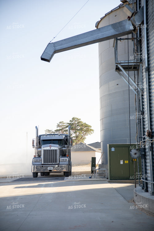 Semi Delivering Corn 286017