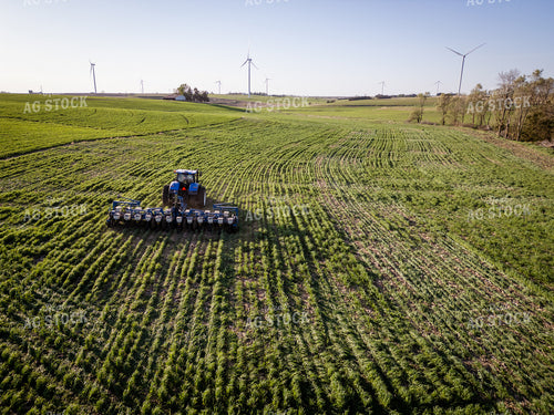 Planting into Cover Crop 268313