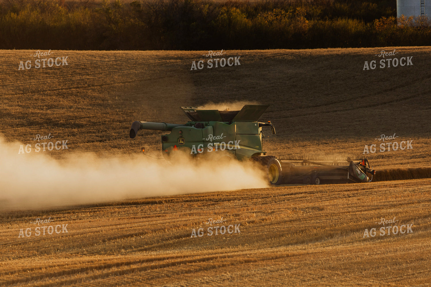 Wheat Harvest 187312