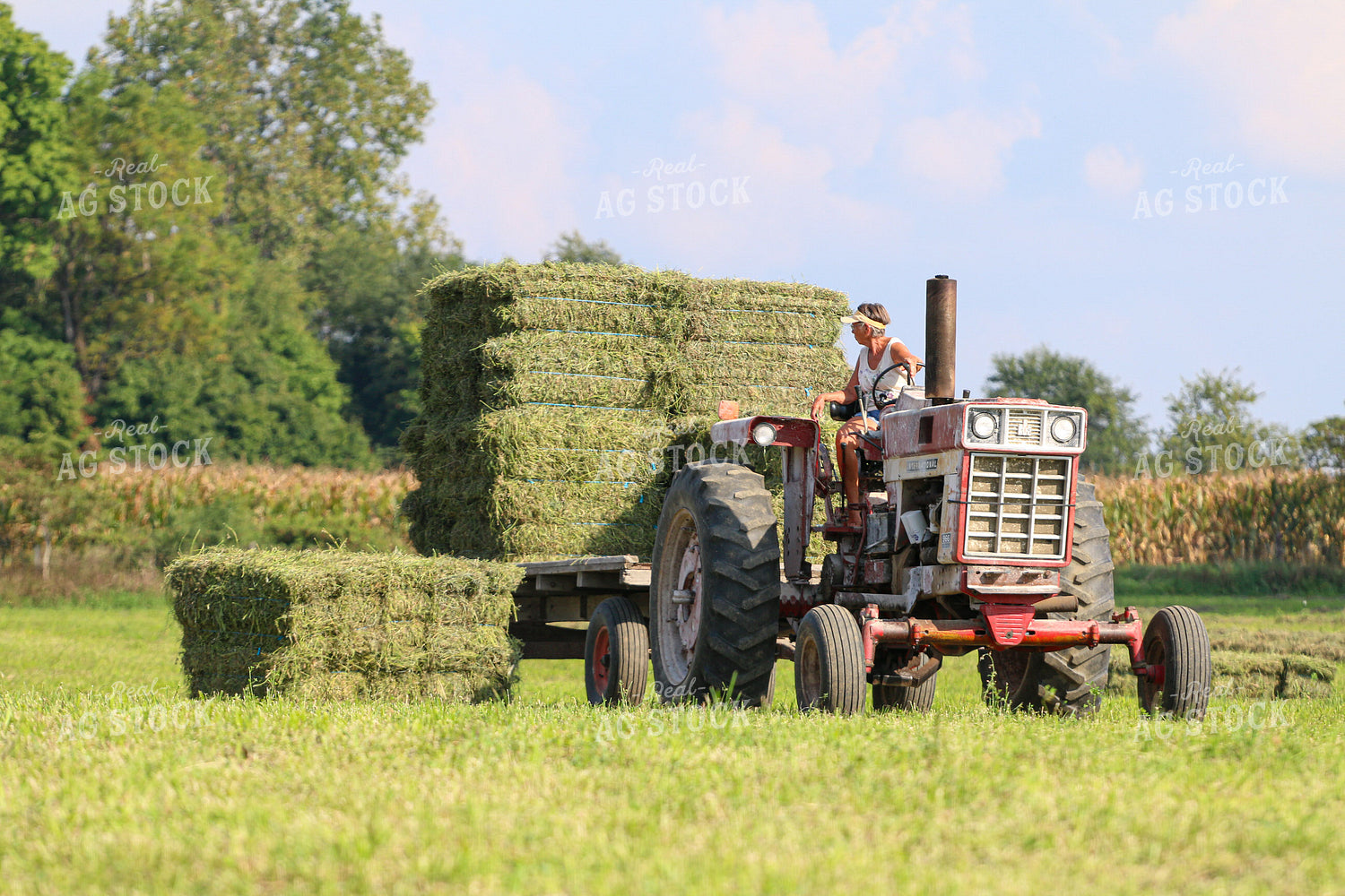 Harvesting Hay 160332