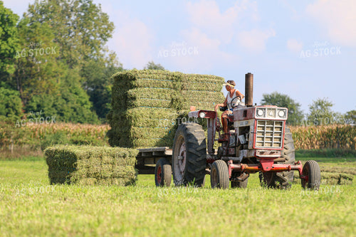 Harvesting Hay 160332