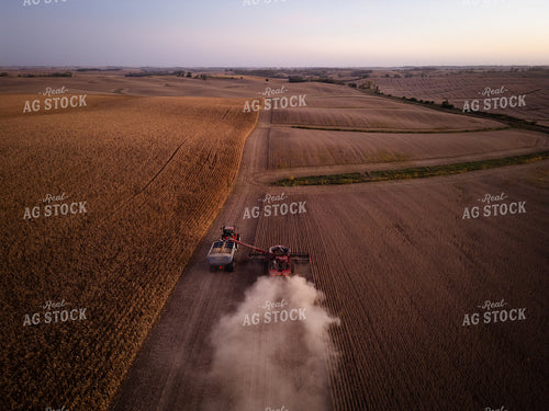 Soybean Harvest 67951