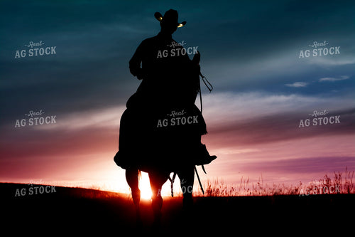 Rancher and Horse Silhouette 69023
