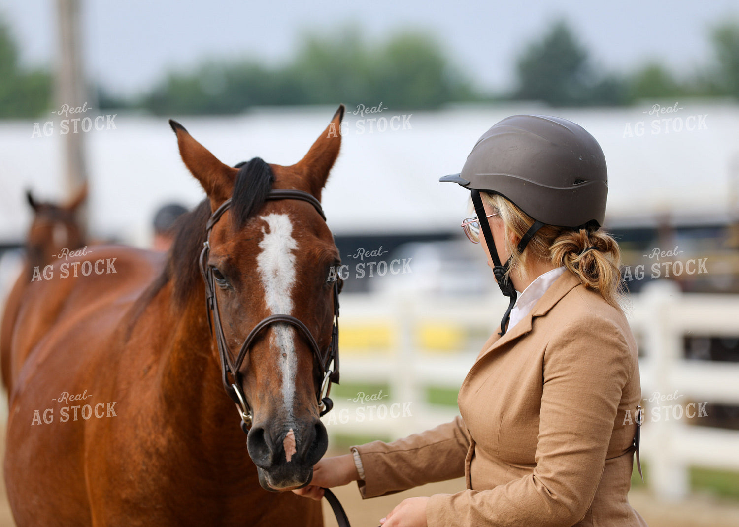 Equestrian With Horse 160067